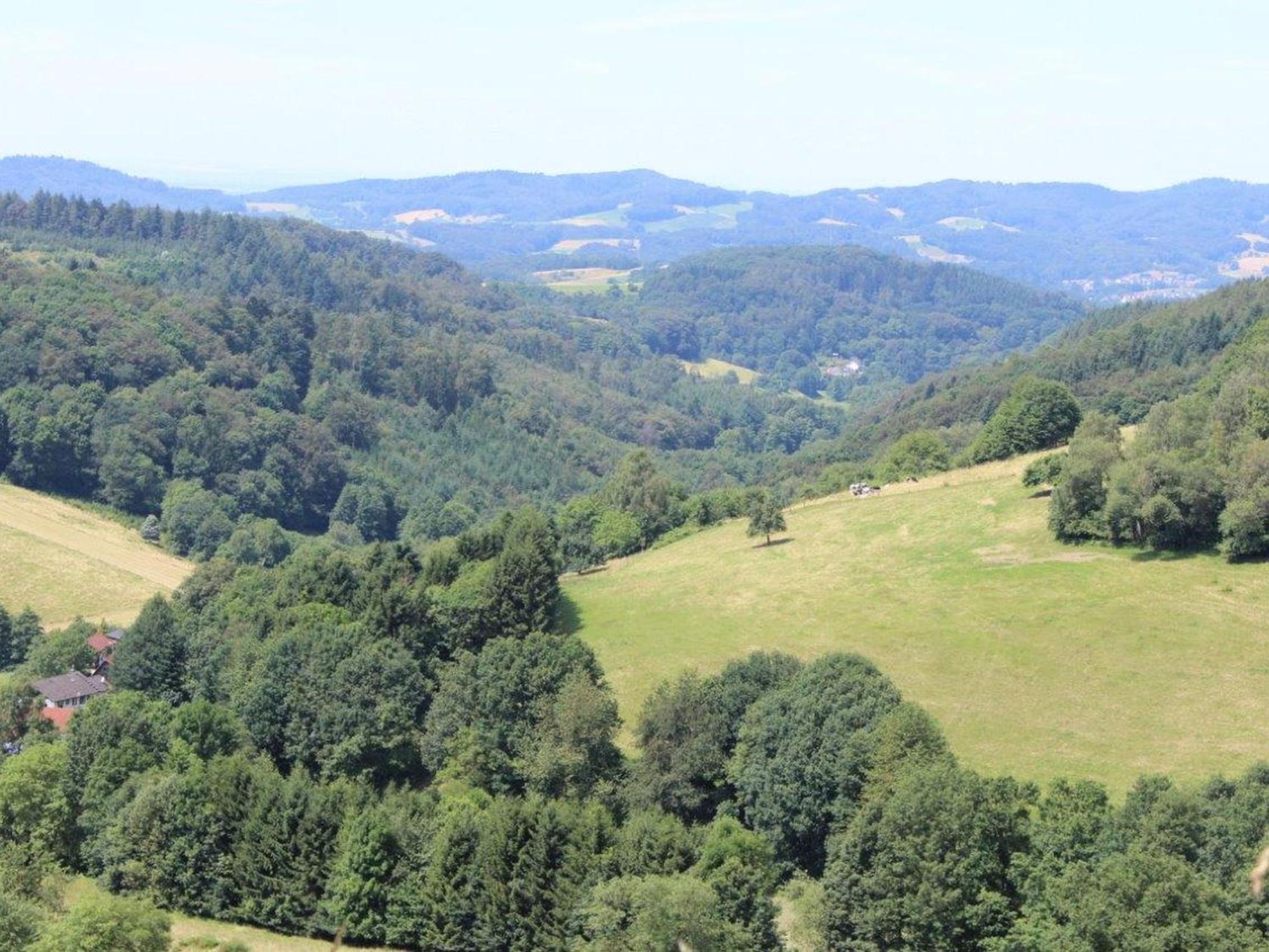 Ferienwohnung Rimbach エクステリア 写真