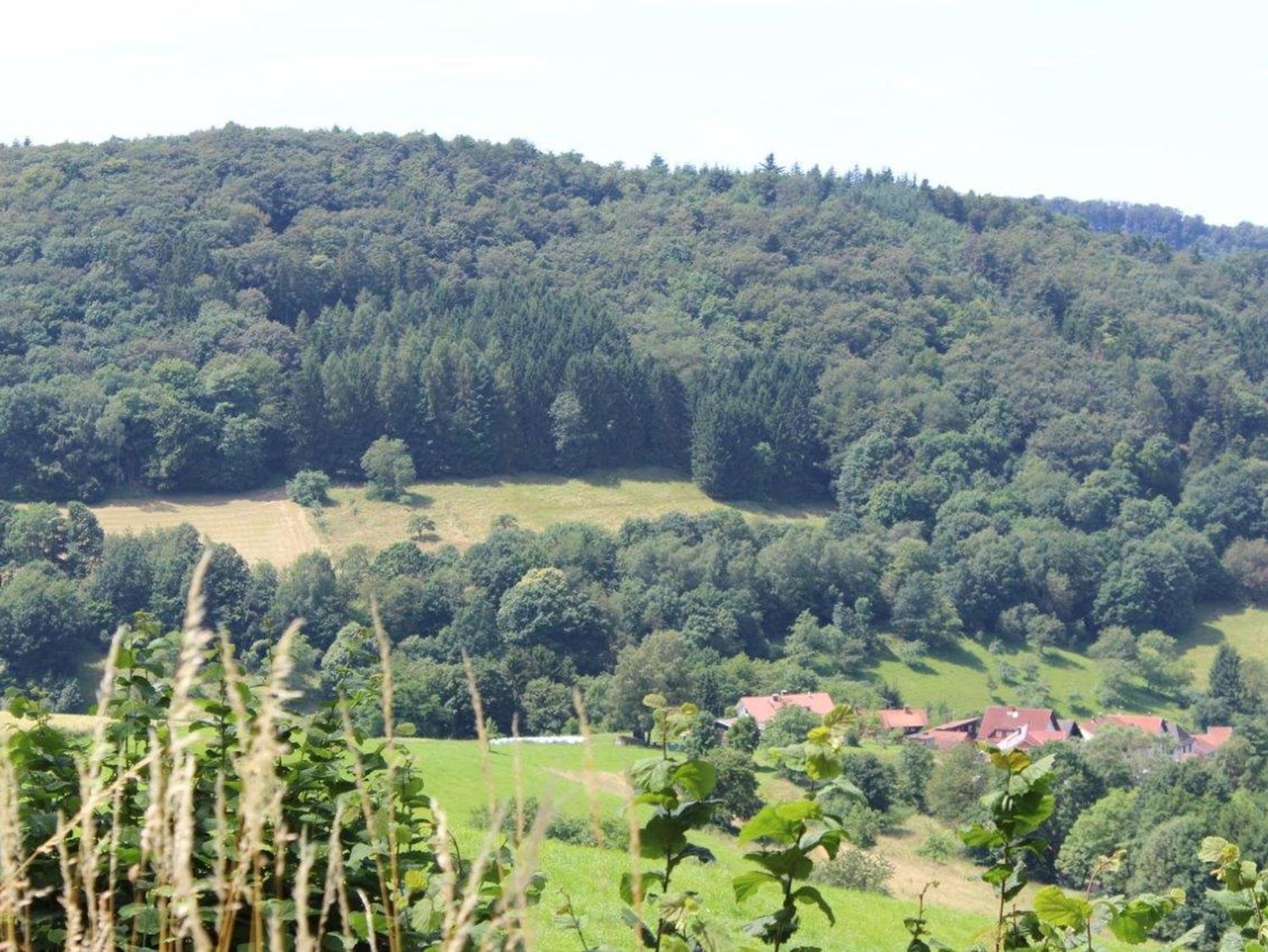 Ferienwohnung Rimbach エクステリア 写真